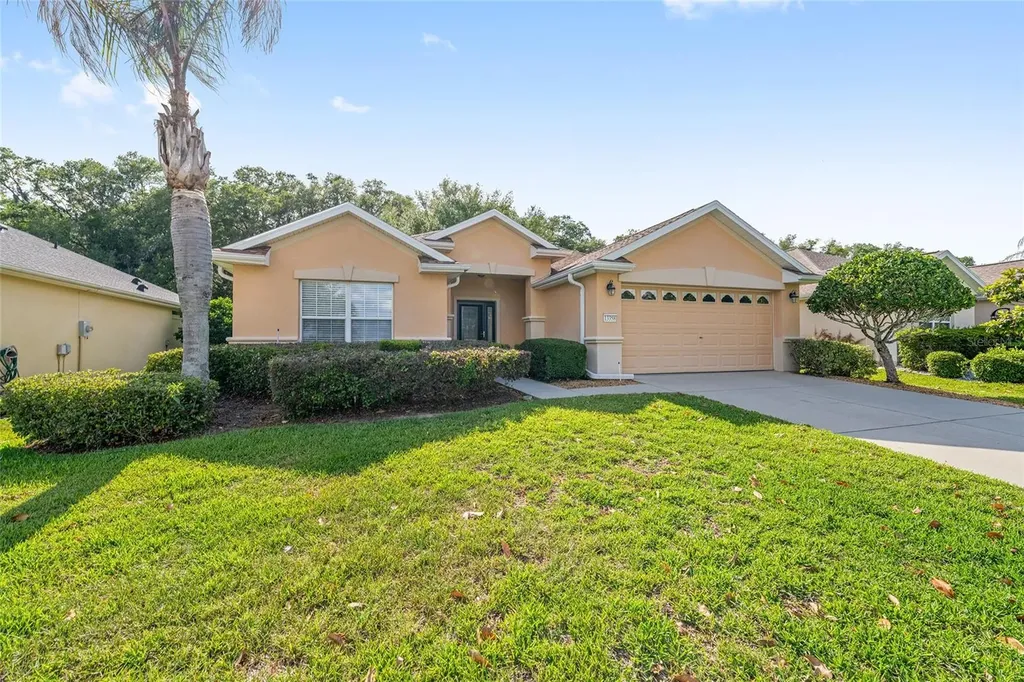 13358 SE 86th Circle Summerfield FL 34491