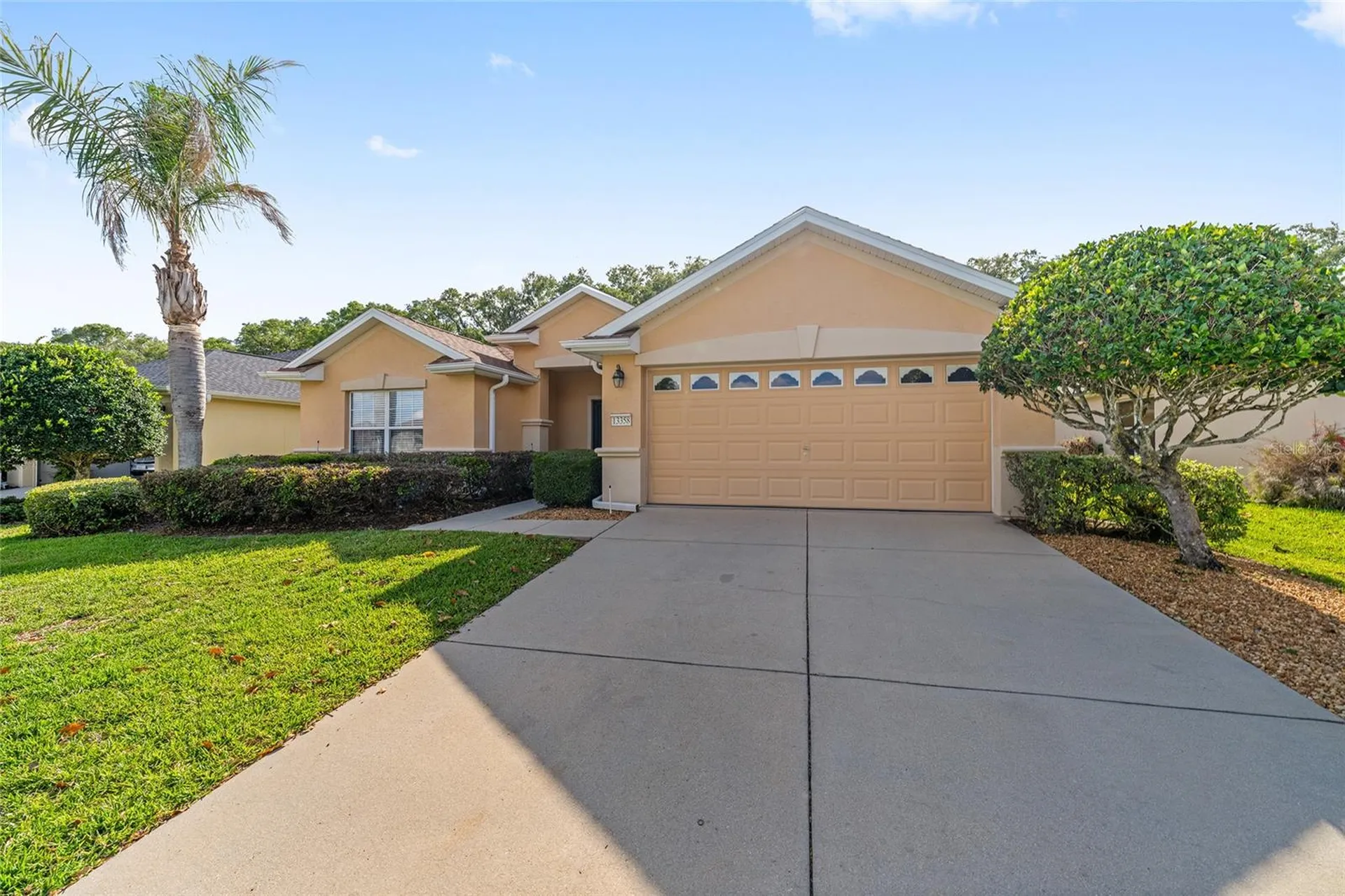 13358 SE 86th Circle Summerfield FL 34491