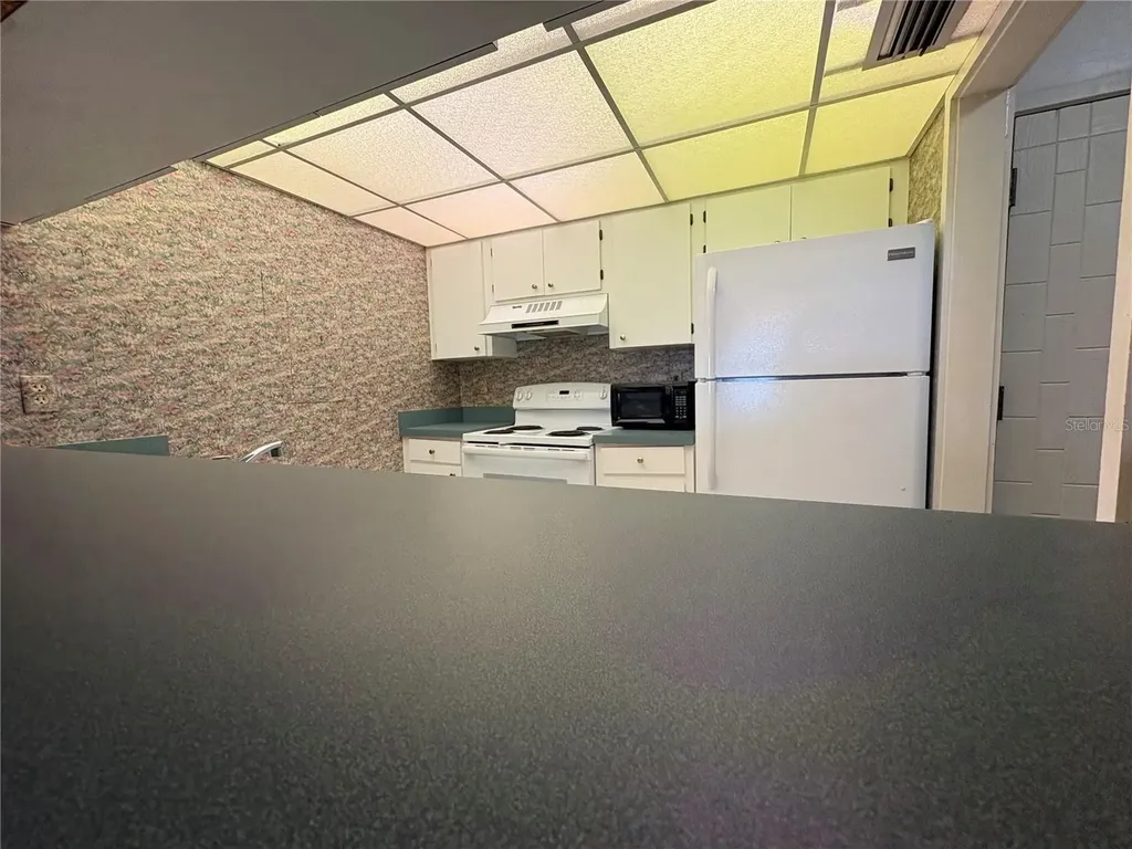 167 Palm View Court Haines City FL 33844