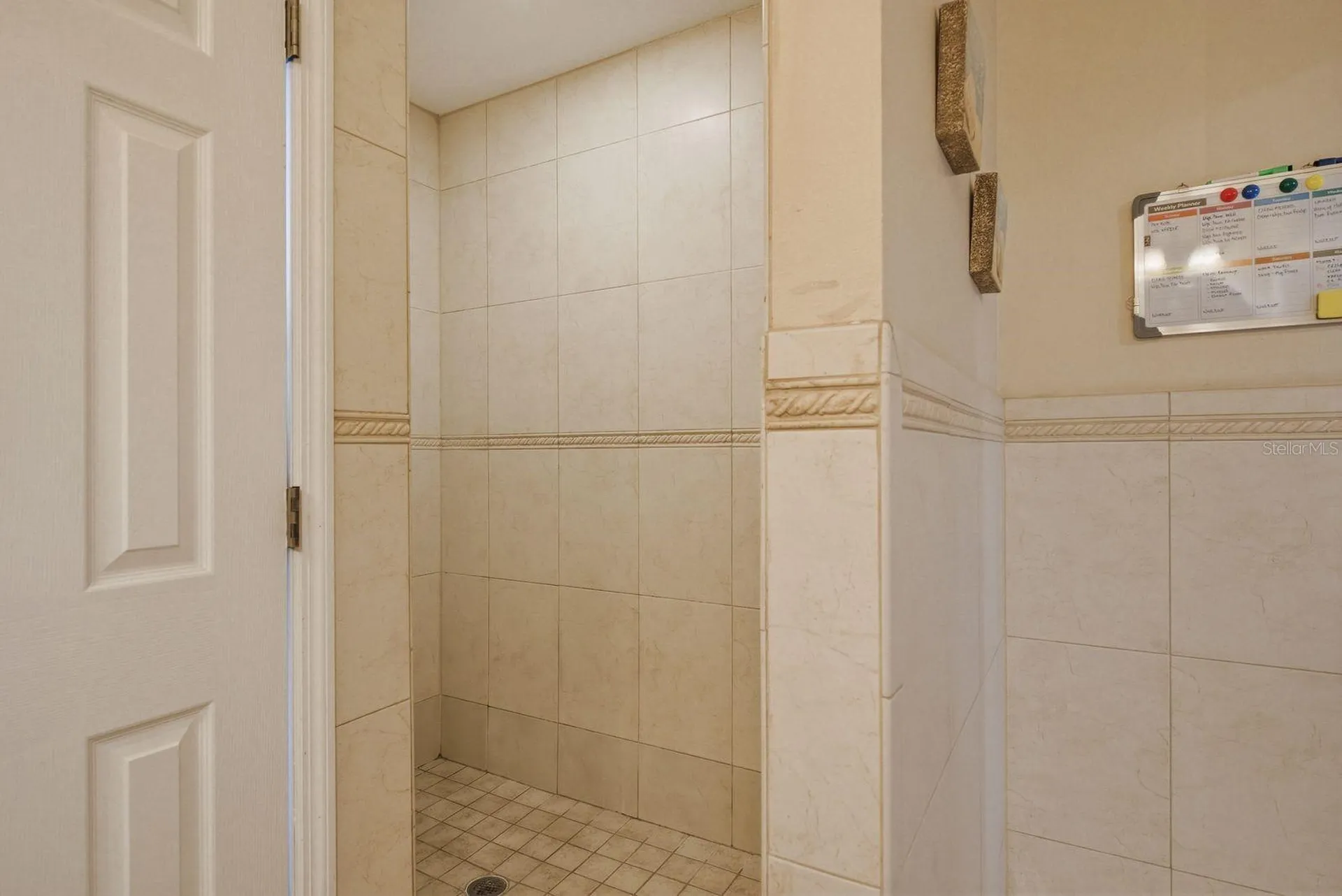3228 Bentley Drive Palm Harbor FL 34684
