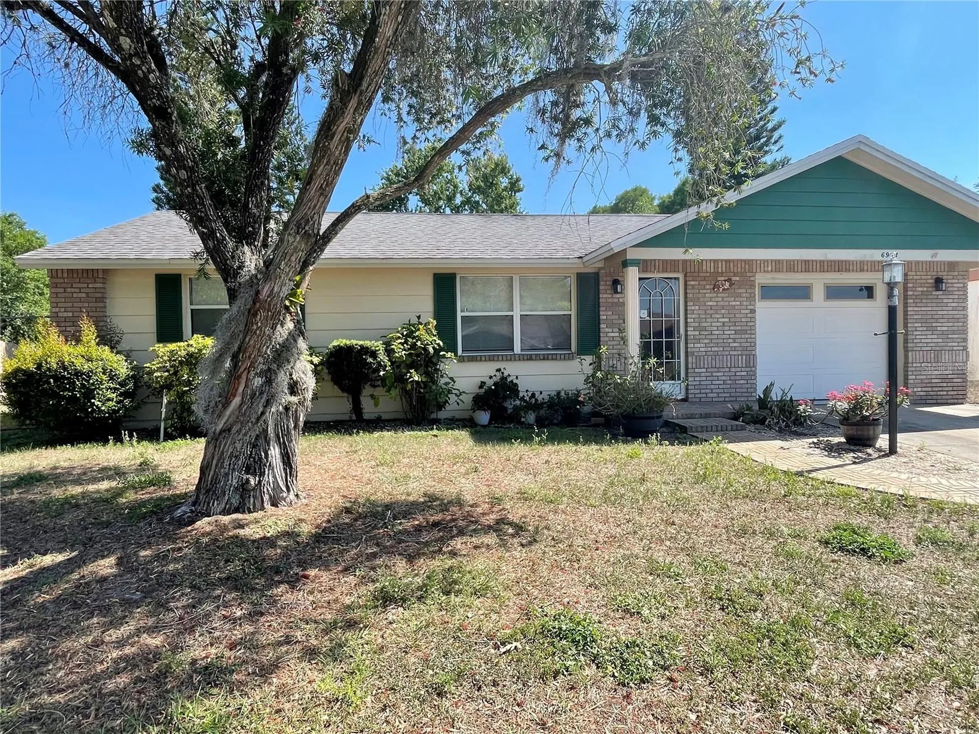 6944 Larchmont Avenue New Port Richey FL 34653