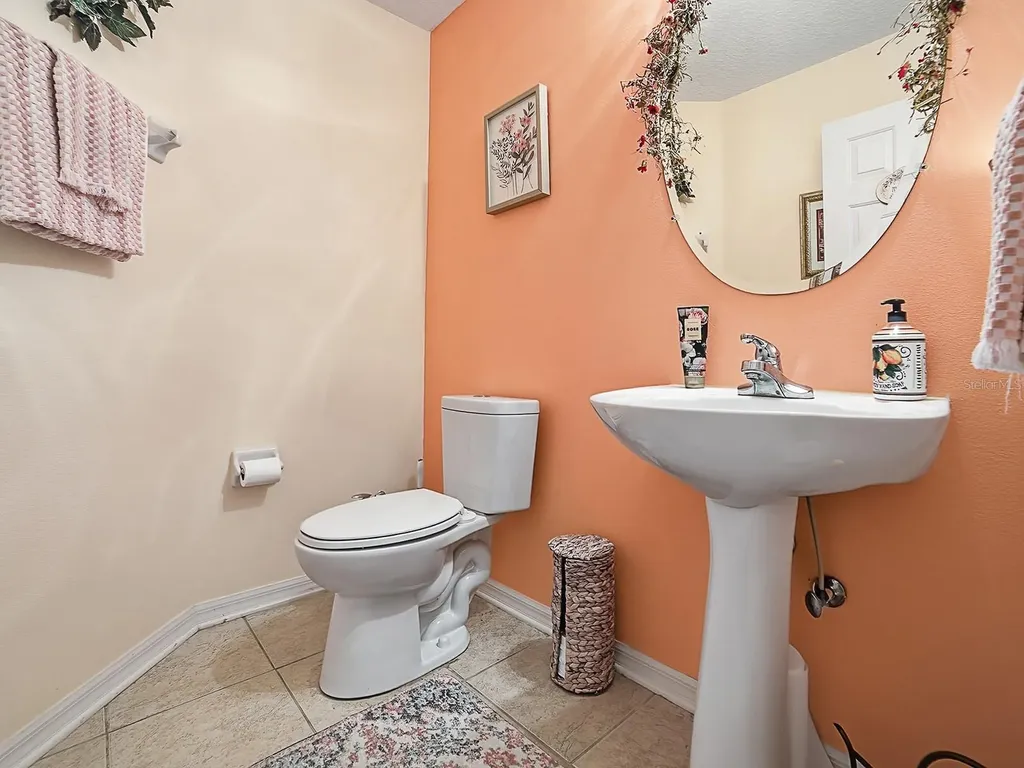 24317 Belle Mede Drive Leesburg FL 34748
