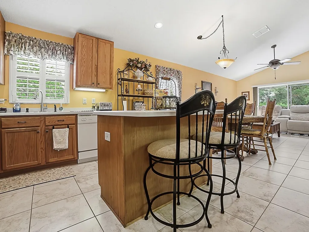 24317 Belle Mede Drive Leesburg FL 34748