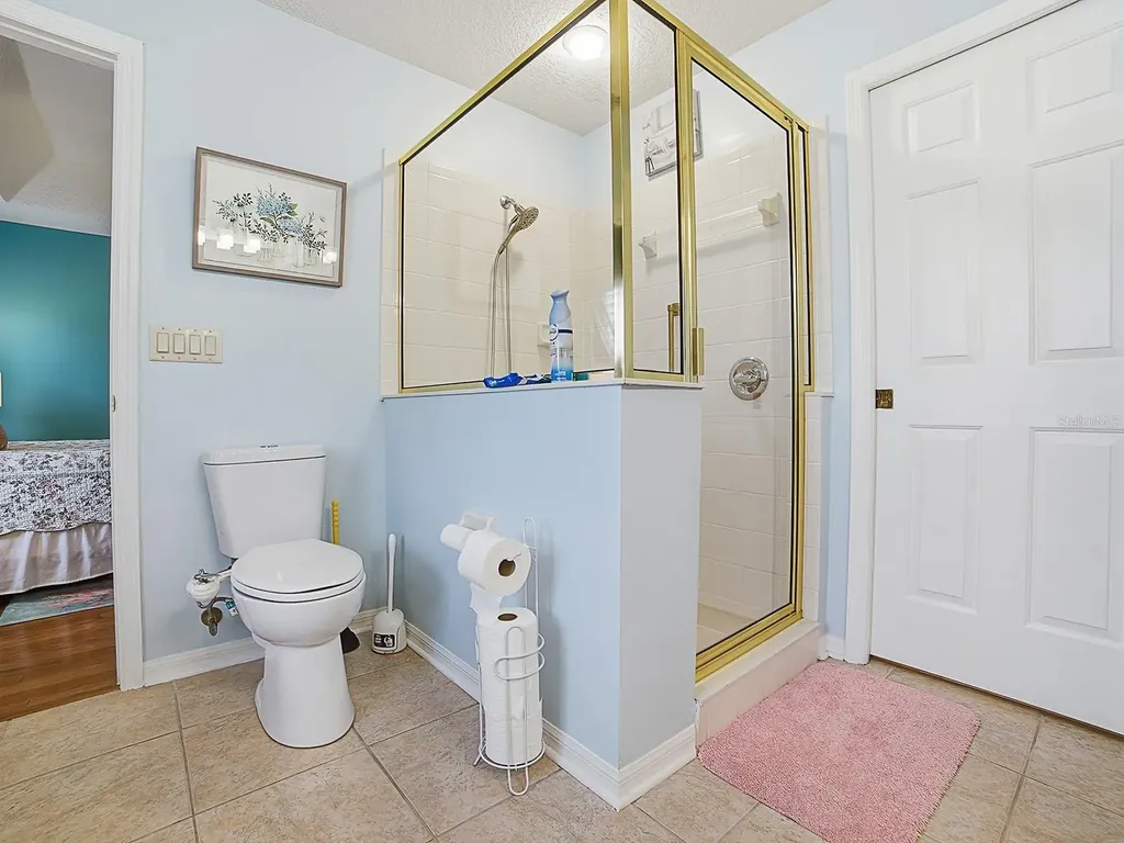 24317 Belle Mede Drive Leesburg FL 34748