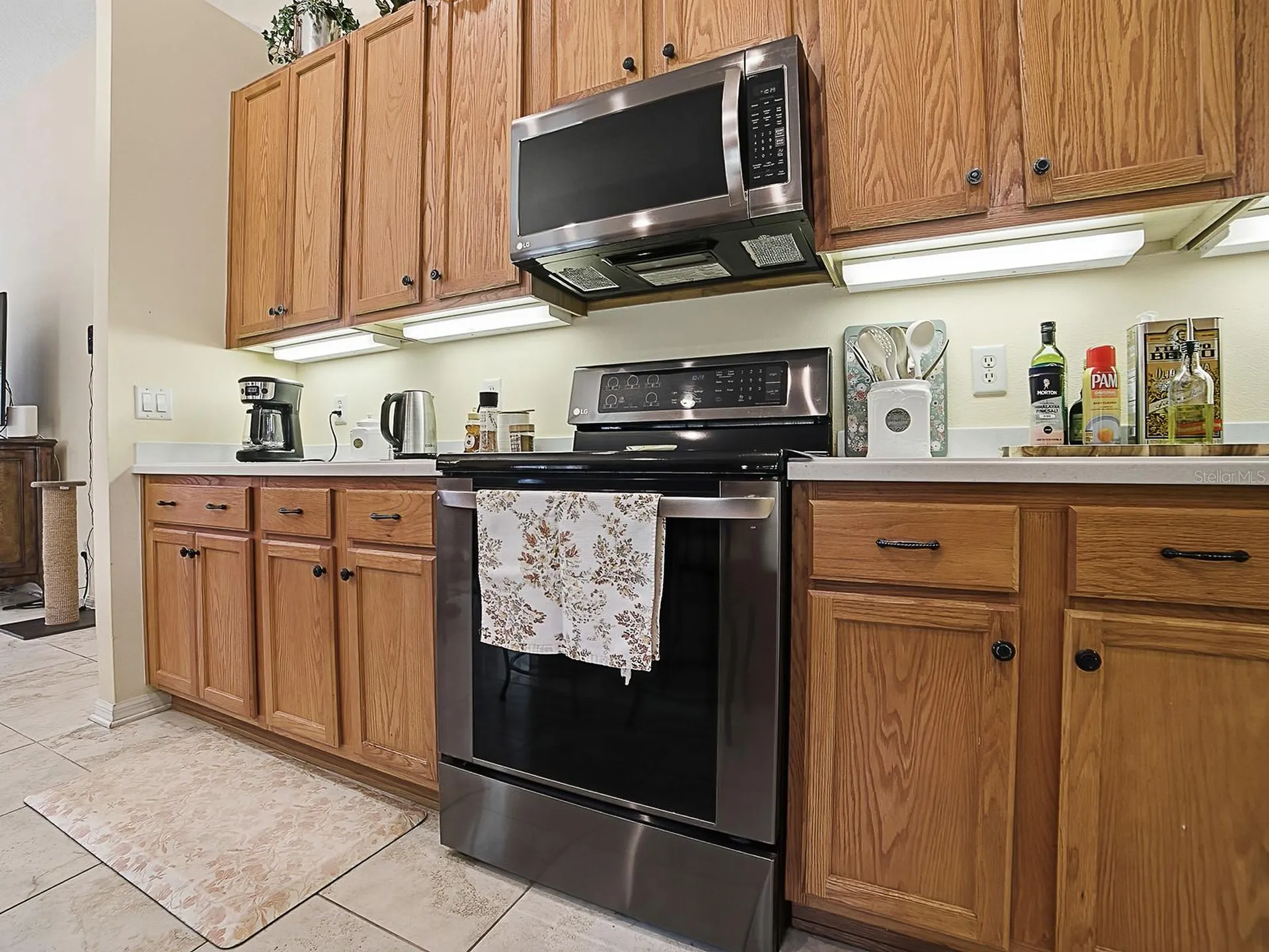 24317 Belle Mede Drive Leesburg FL 34748
