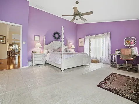24317 Belle Mede Drive Leesburg FL 34748