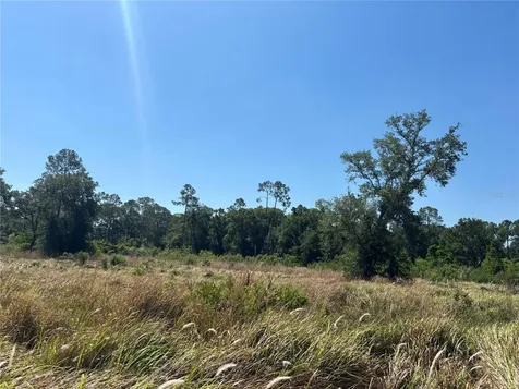Ardenwood Tampa FL 33625