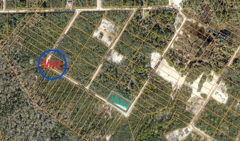 20122 Medicine Stone #10 Drive Webster FL 33597