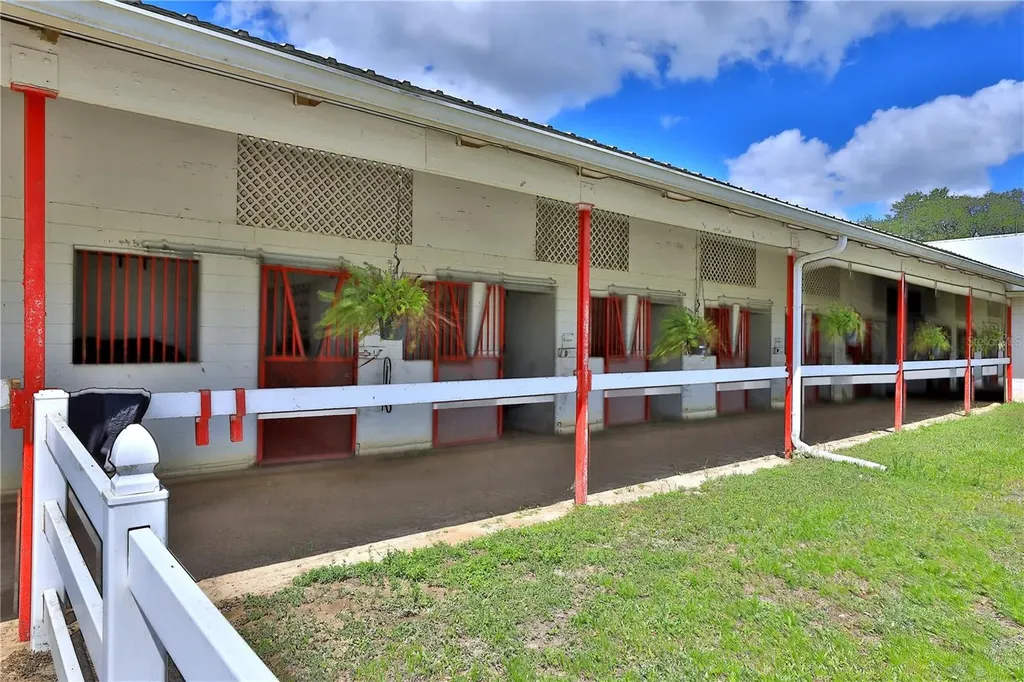 4450 SE 216th Avenue Morriston FL 32668