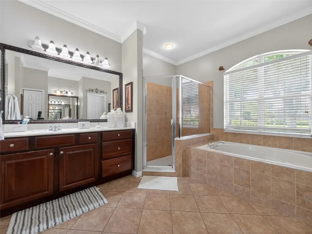 10354 Oakview Pointe Terrace Gotha FL 34734