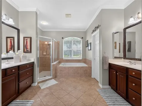 10354 Oakview Pointe Terrace Gotha FL 34734