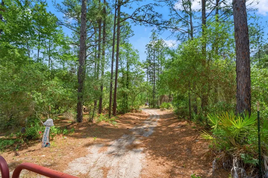 9031 N Manila Terrace Dunnellon FL 34433