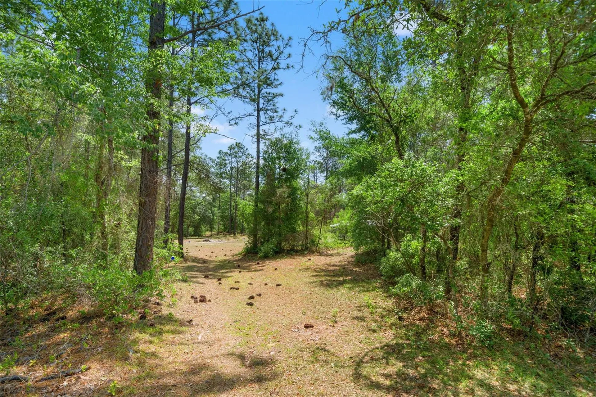 9031 N Manila Terrace Dunnellon FL 34433