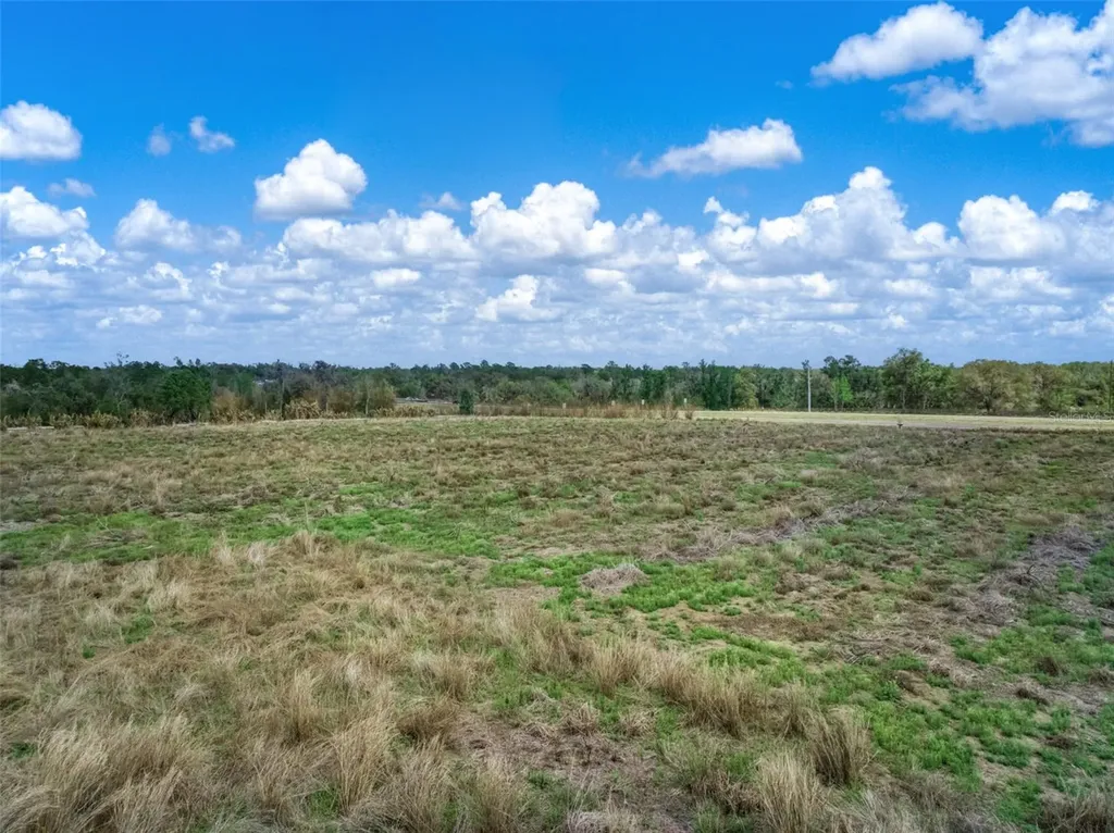 3515 Us Highway 17 N Bowling Green FL 33834