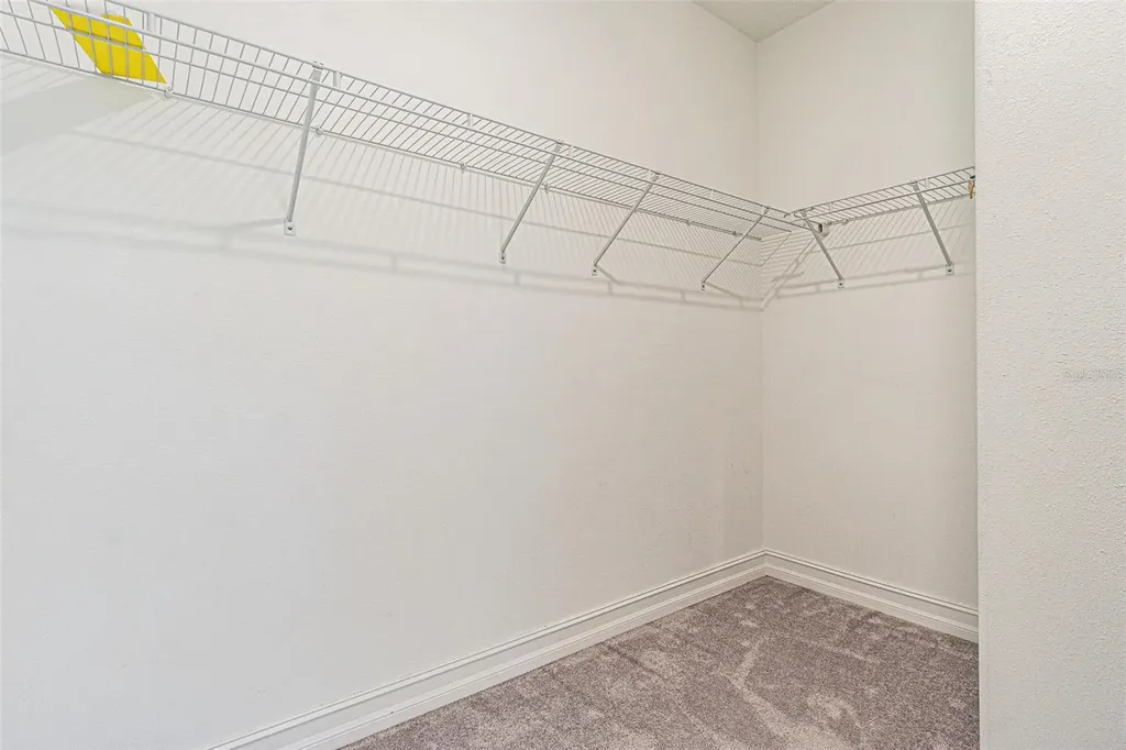 5062 San Martino Drive Wesley Chapel FL 33543