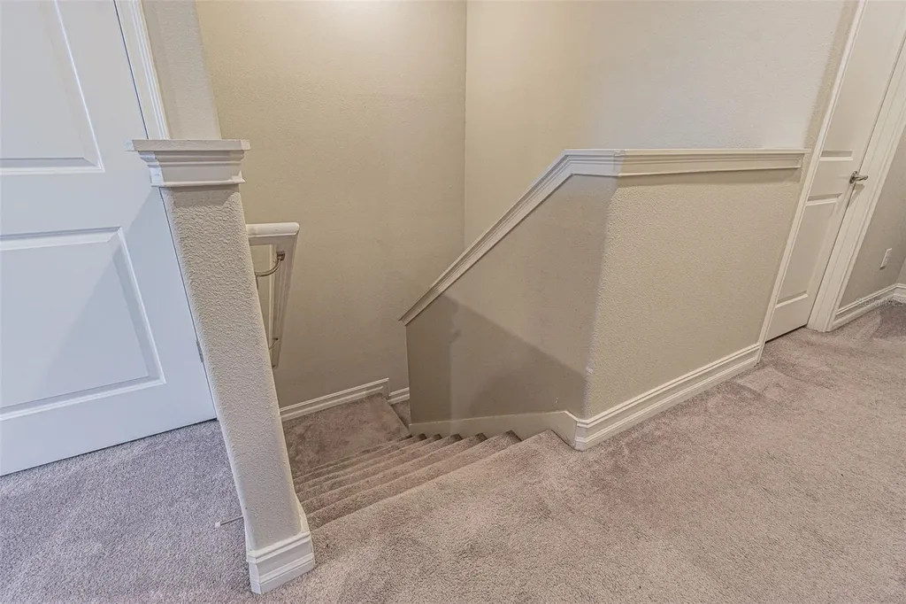 5062 San Martino Drive Wesley Chapel FL 33543