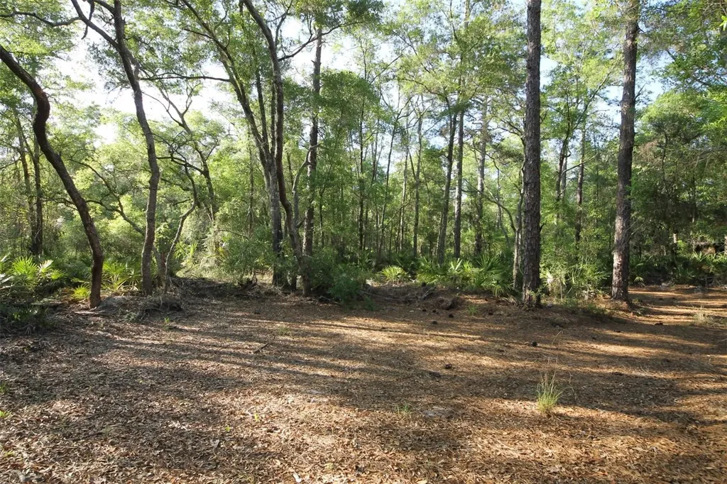 7982 W Mayfair Drive Homosassa FL 34448
