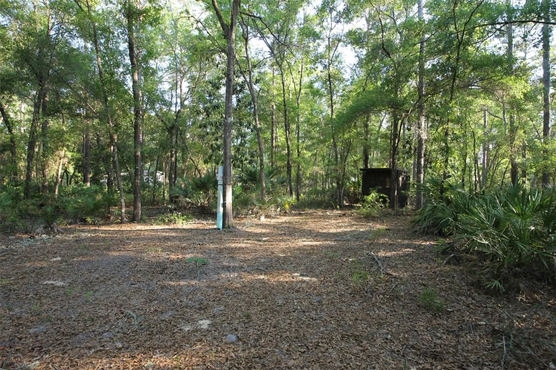7982 W Mayfair Drive Homosassa FL 34448
