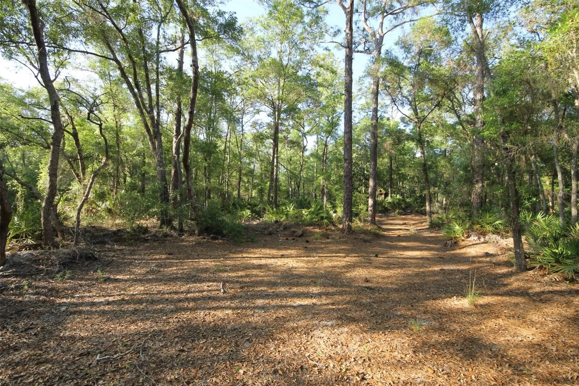 7982 W Mayfair Drive Homosassa FL 34448
