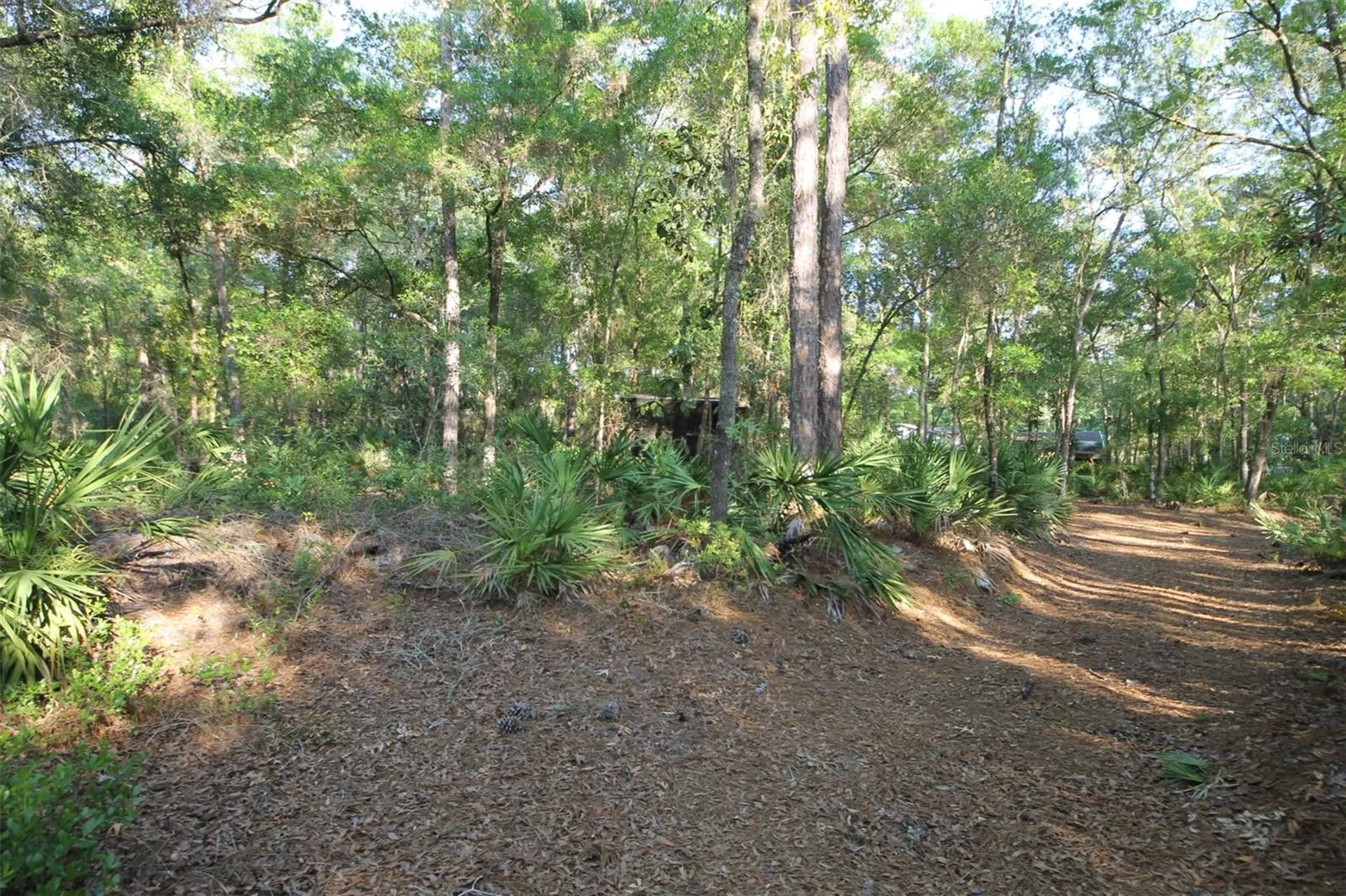 7982 W Mayfair Drive Homosassa FL 34448