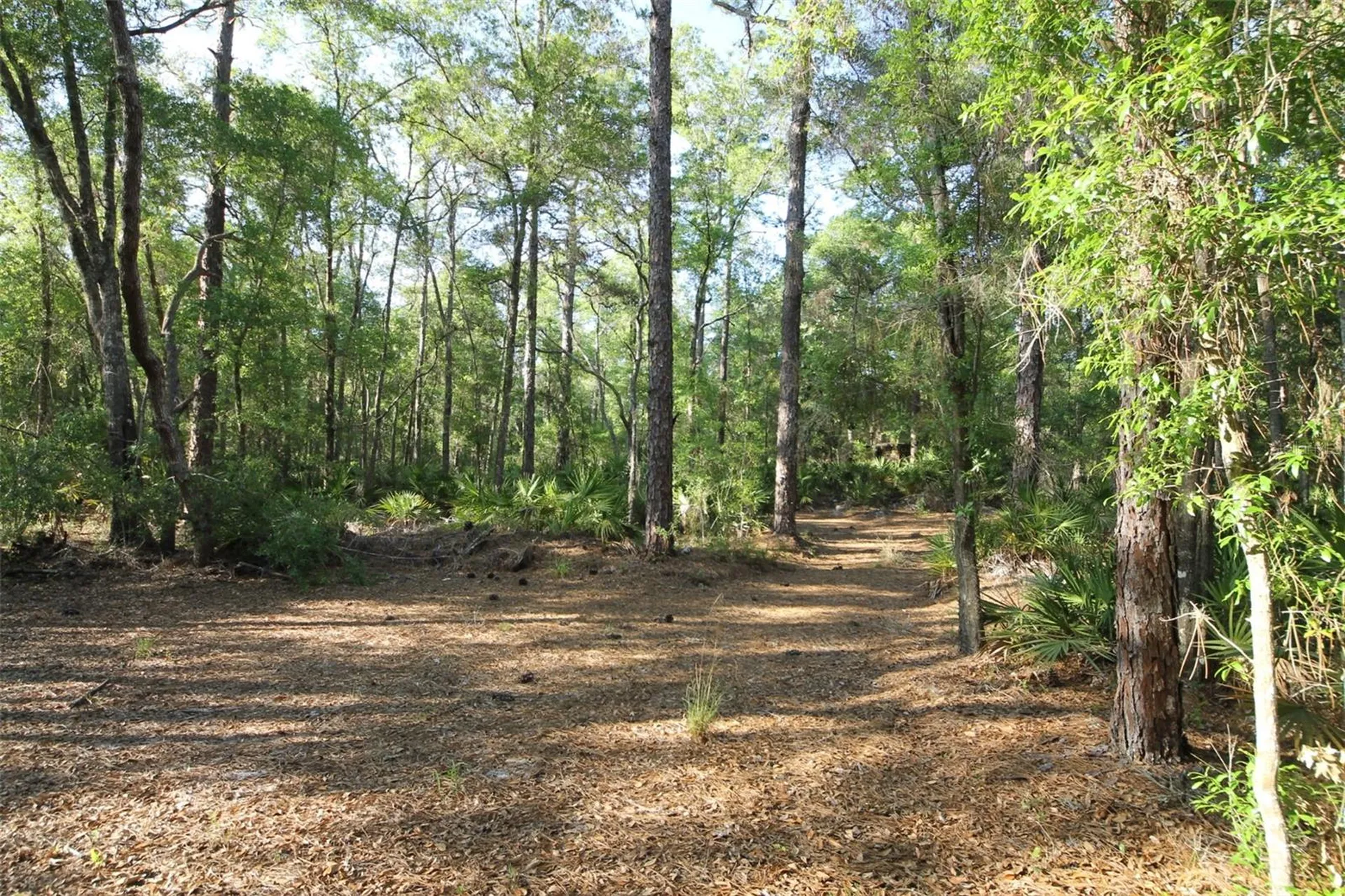 7982 W Mayfair Drive Homosassa FL 34448