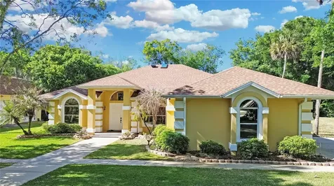 1711 Hideaway Forest Trail New Smyrna Beach FL 32168