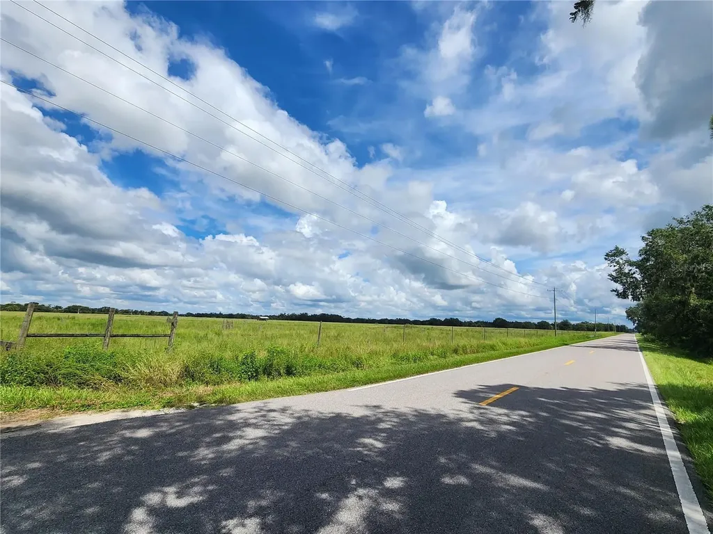 Gough Road Ona FL 33865