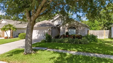 7105 Bucks Ford Drive Riverview FL 33578