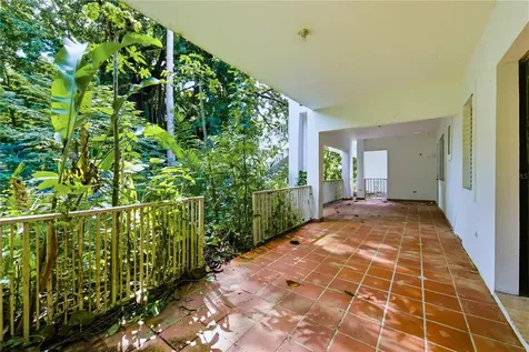7 Vanda Guaynabo PR 00966