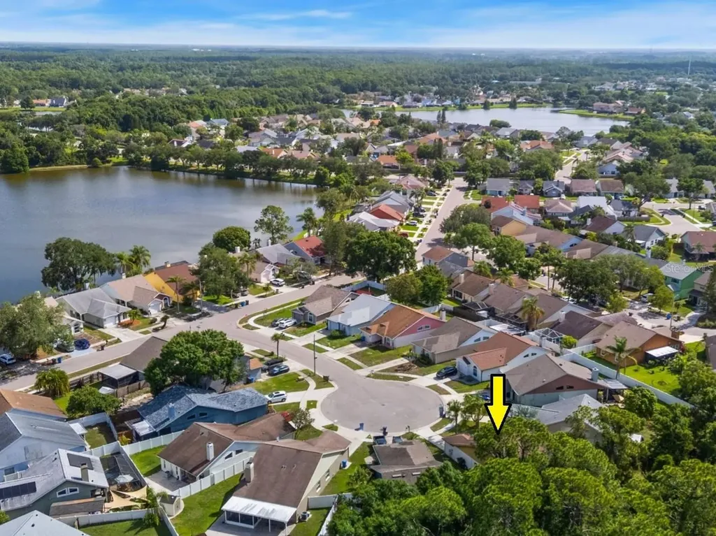 8601 Twin Farms Place Tampa FL 33635