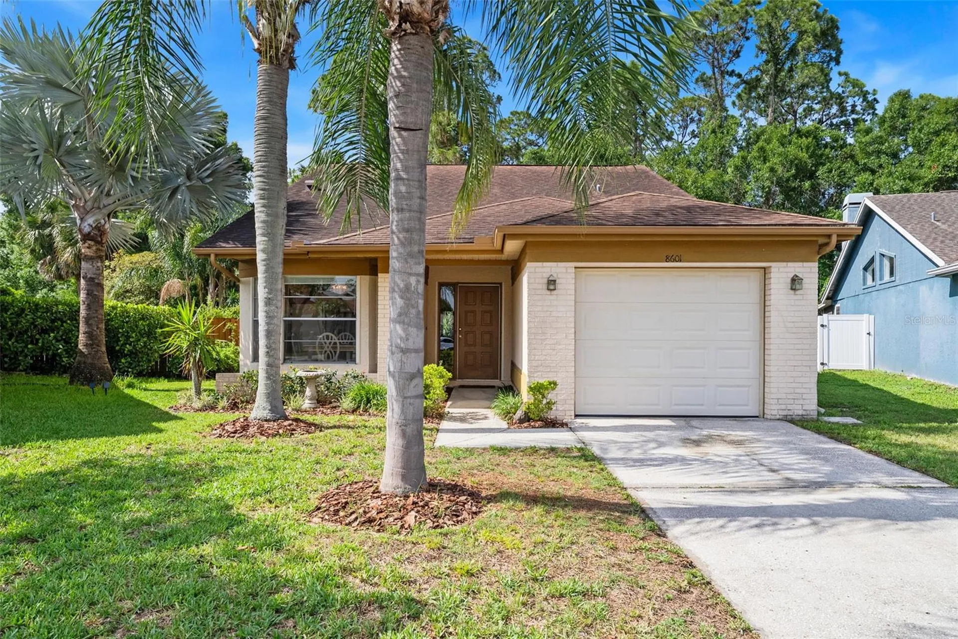 8601 Twin Farms Place Tampa FL 33635