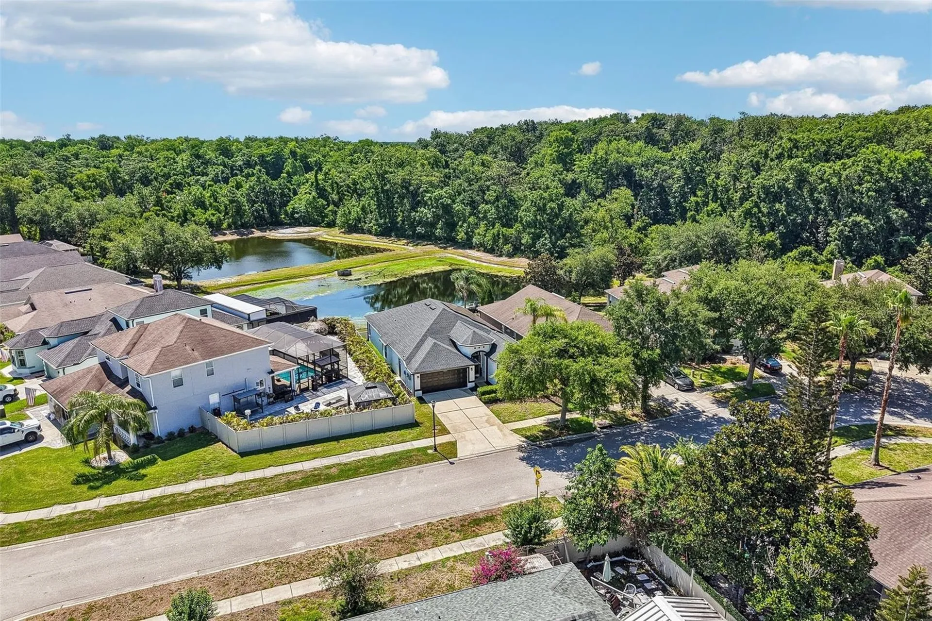 15914 Cedar Elm Terrace Land O Lakes FL 34638