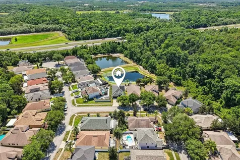 15914 Cedar Elm Terrace Land O Lakes FL 34638