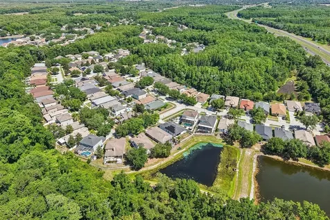 15914 Cedar Elm Terrace Land O Lakes FL 34638