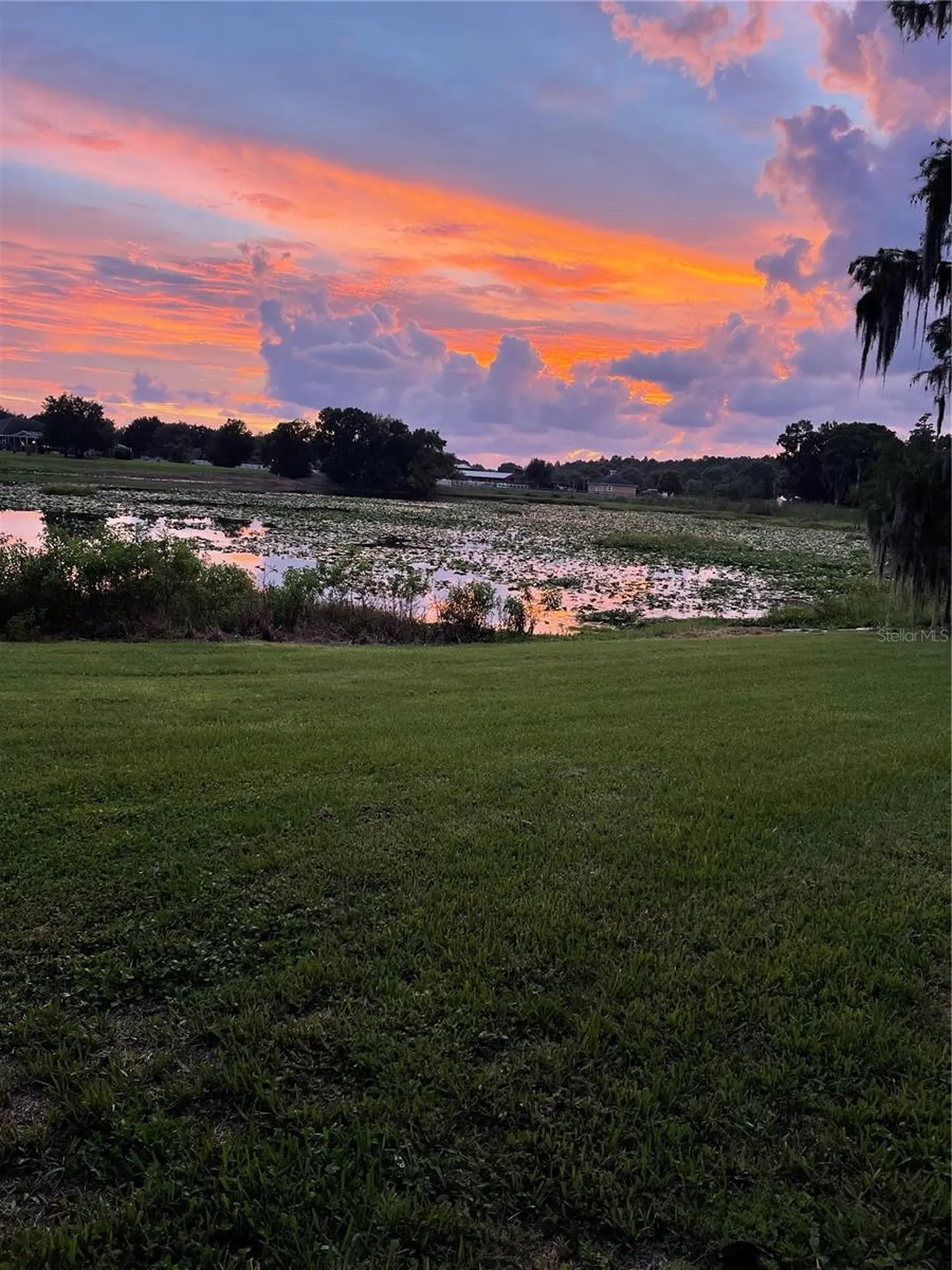 17520 Boy Scout Road Odessa FL 33556