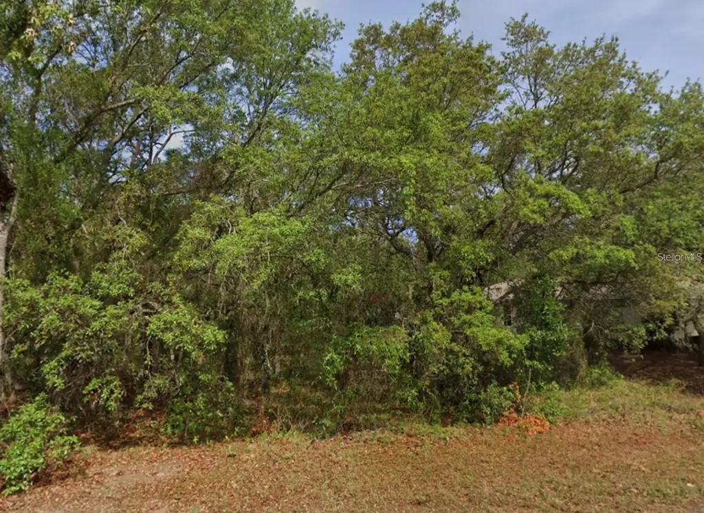 4 Honeysuckle Court N Homosassa FL 34446