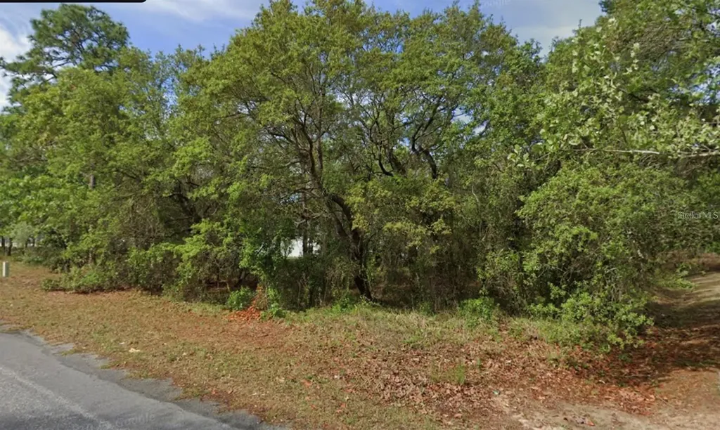 4 Honeysuckle Court N Homosassa FL 34446