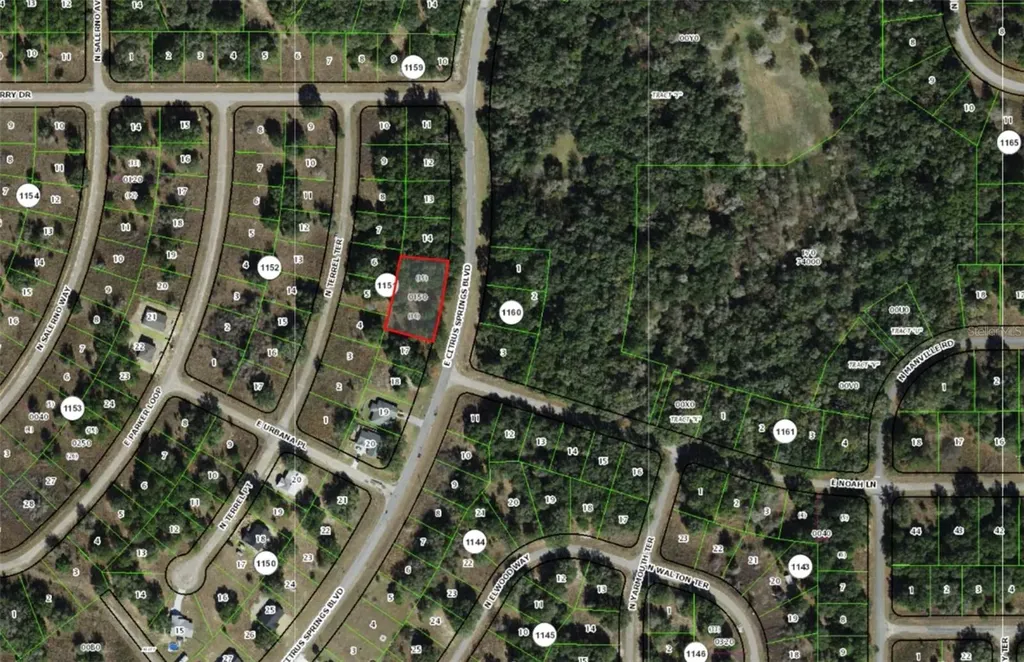 325 E Citrus Springs Boulevard Citrus Springs FL 34434