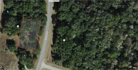 325 E Citrus Springs Boulevard Citrus Springs FL 34434