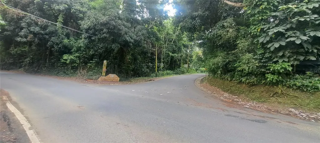 NE Barrio Mameyes Rio Grande PR 00745
