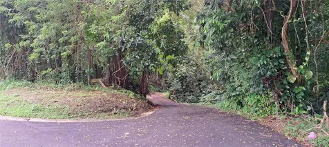 NE Barrio Mameyes Rio Grande PR 00745