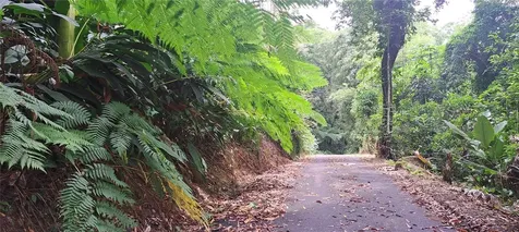NE Barrio Mameyes Rio Grande PR 00745