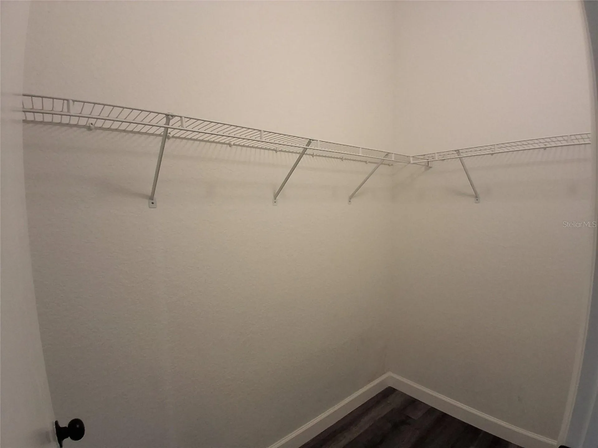2402 W Azeele Street Tampa FL 33609