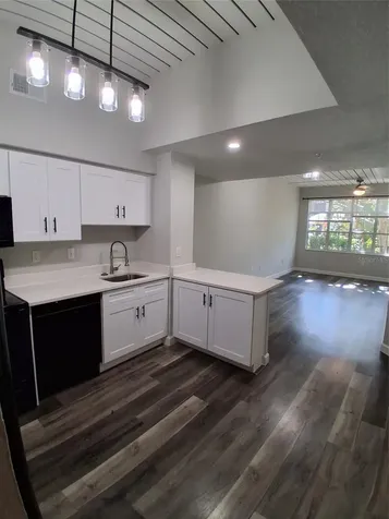 2402 W Azeele Street Tampa FL 33609
