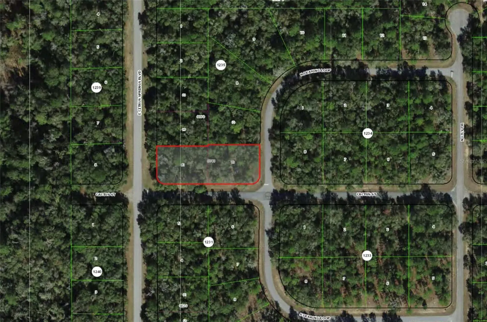 2054 E Citrus Springs Boulevard Citrus Springs FL 34434