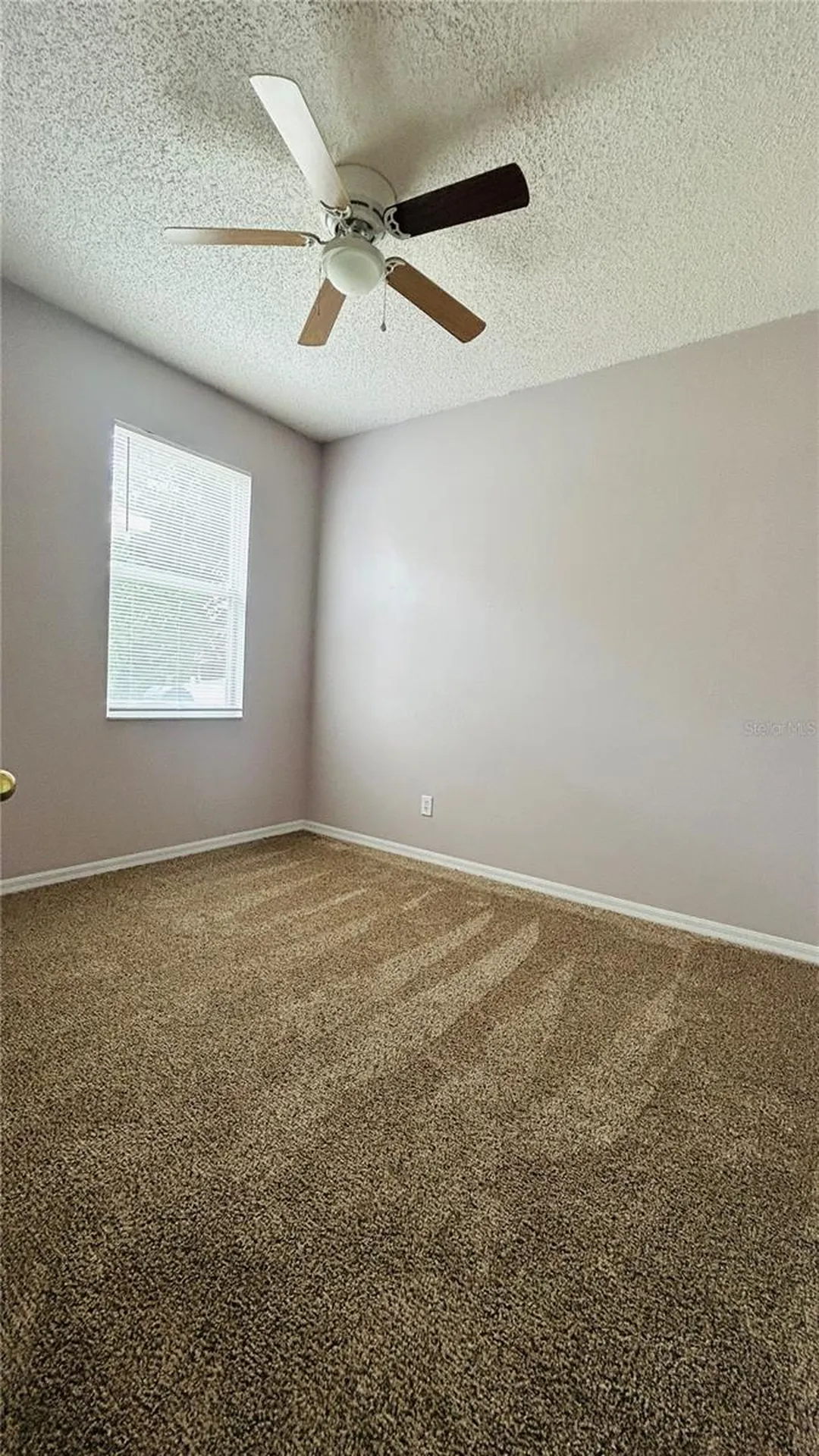 3785 Shawn Circle Orlando FL 32826