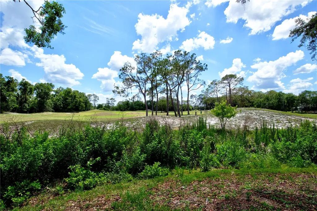 5725 Wedgefield Drive Zephyrhills FL 33541