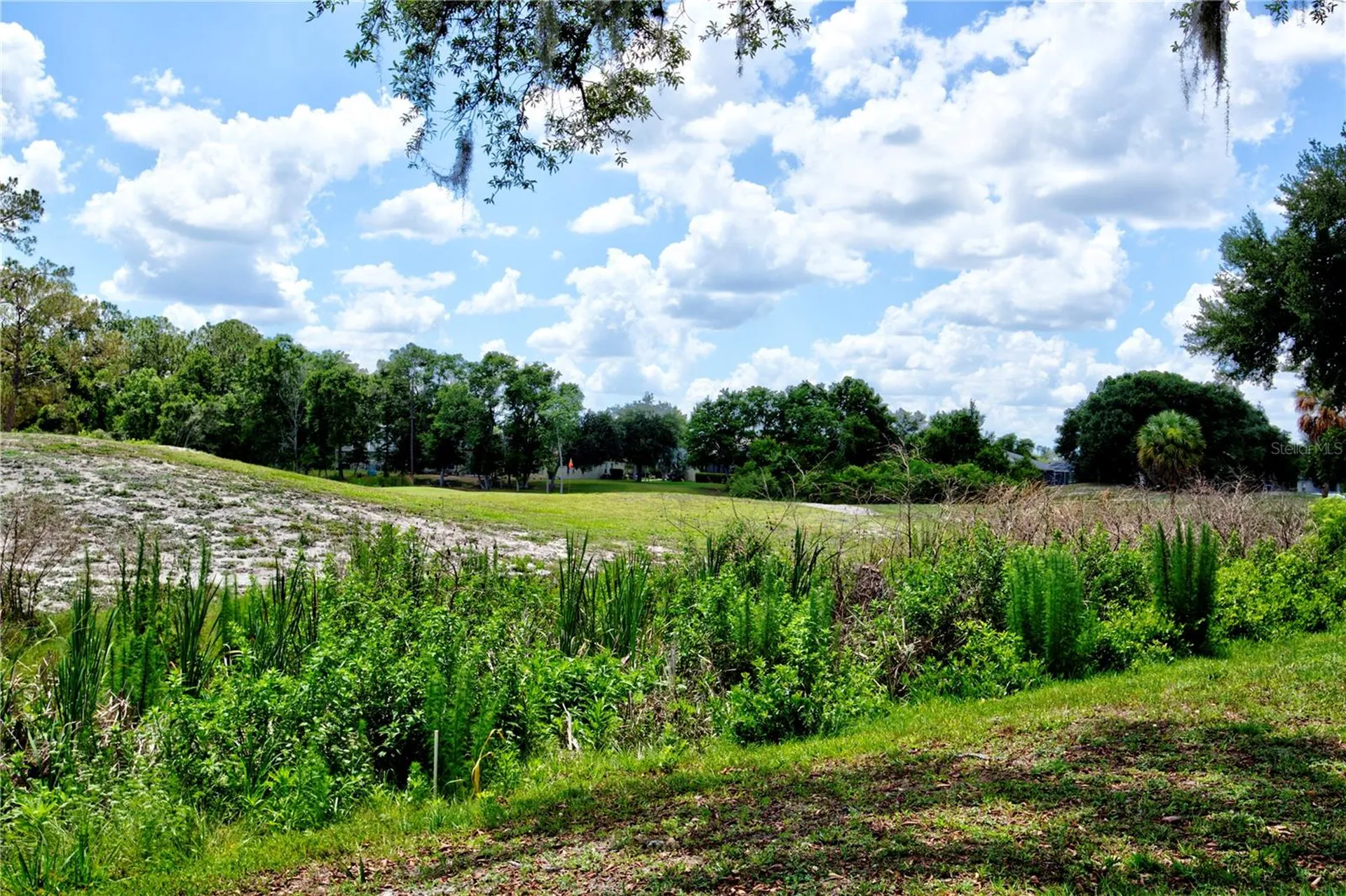 5725 Wedgefield Drive Zephyrhills FL 33541