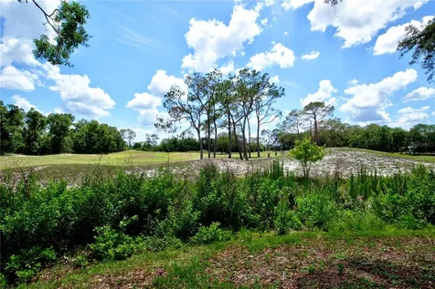 5725 Wedgefield Drive Zephyrhills FL 33541