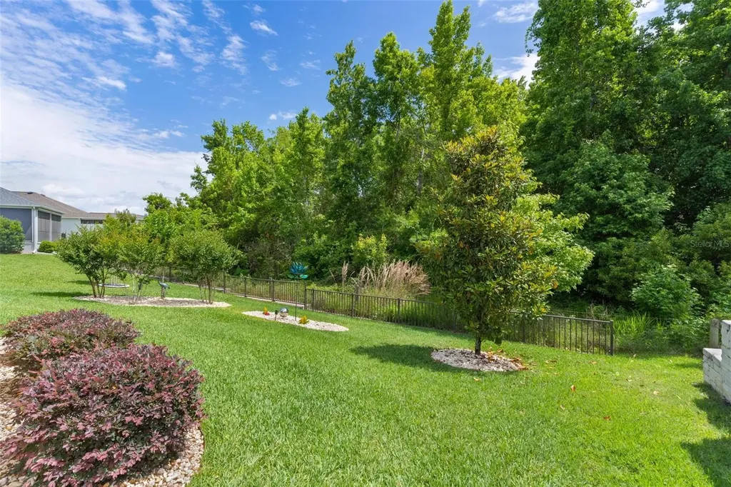 5991 Barley Path The Villages FL 32163